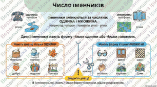 Інфографіка до уроку української мови у 6 класі " Число іменників"