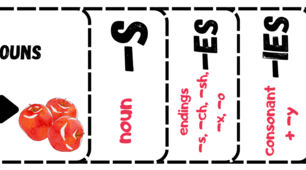 plural interactive