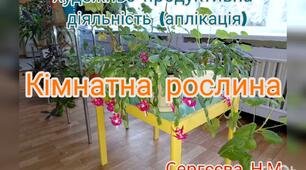 Художньо-продуктивна діяльність ( Аплікація "Кімнатна рослина")