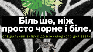31.01 Міжнародний день зебри