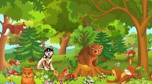 WILD ANIMALS