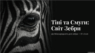 Презентація "31 січня - Міжнародний день зебри".