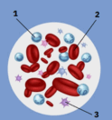 0900ywfs-8139-124x132.png