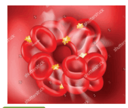 0900yykk-b23a-251x213.png