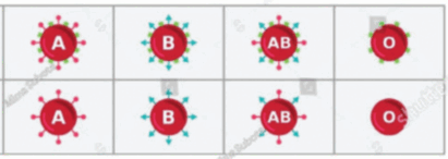 0900yyl1-f0b7-411x146.png