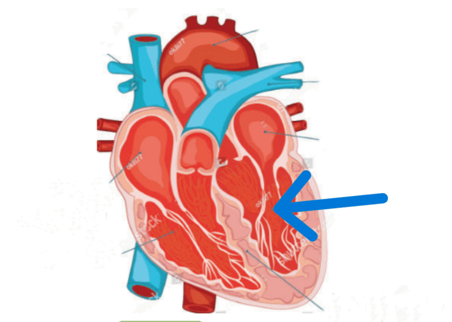 0900yymm-a0b4-924x659.png
