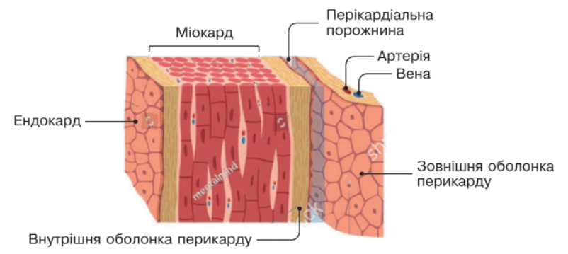 0900yymu-5498-802x359.png