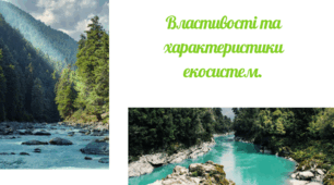 Властивості та характеристики екосистем.