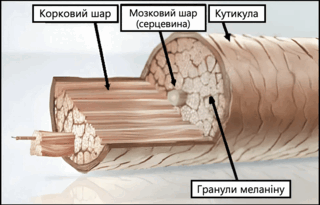 0900yzb0-8555-320x205.png