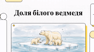 Відеоогляд "27 лютого - День білого ведмедя"