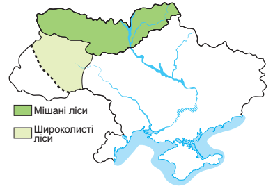 0900z1h0-43cd-392x275.png