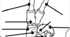 Parts of the body