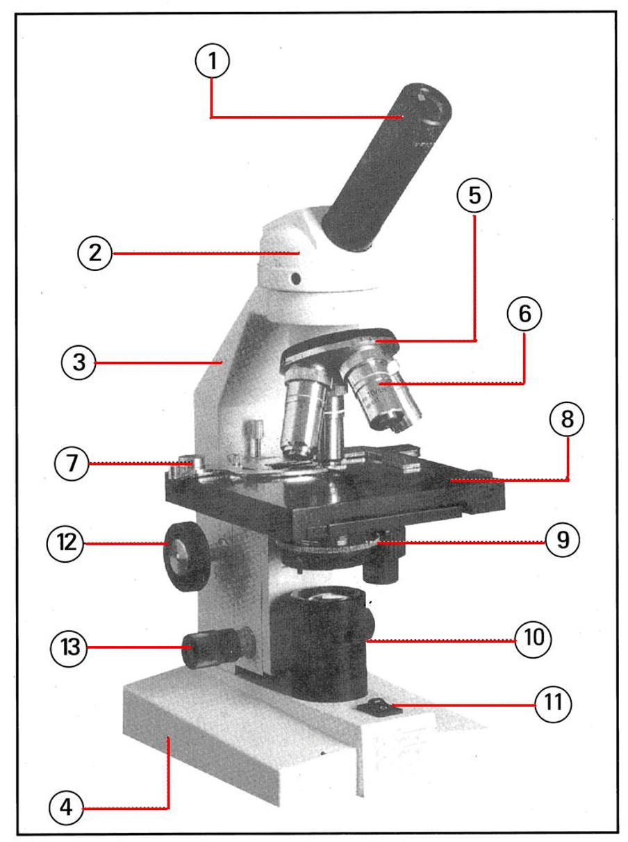 0900z4mj-ed5e-904x1212.png