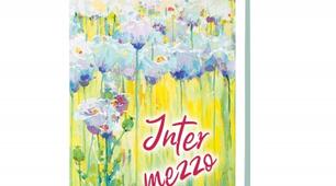 Символічний код «Intermezzo» М.Коцюбинського