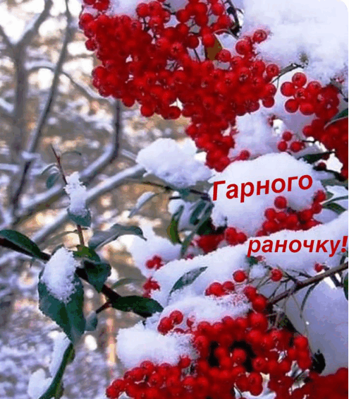 0900z8g9-ade8-495x565.png