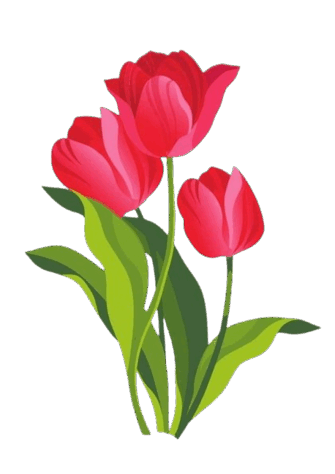 0900z9zu-cf0d-335x474.png