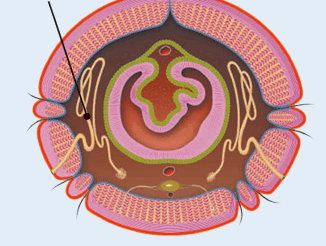 0900za84-a2d0-326x246.png