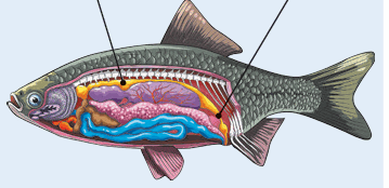 0900za9j-c028-359x174.png