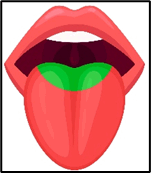 0900zdtk-a03c-151x173.png