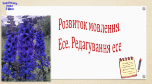 Розвиток мовлення. Есе. Редагування есе