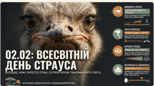 02.02 День страуса