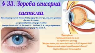 § 33. Зорова сенсорна система