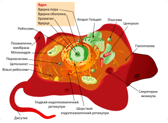 0900zjej-c72c-330x242.png