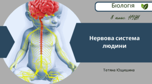 Нервова система людини. 8 клас. НУШ