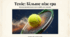 23 лютого – День гри в теніс (Play Tennis Day)