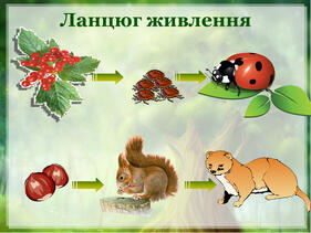 0900znkj-0f12-281x211.jpg