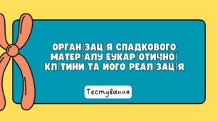 Організація спадкового матеріалу еукаріотичної клітини та його реалізація