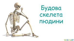 Тест "Скелет людини"
