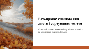 Еко-право: спалювання листя і сортування сміття. Сучасний погляд на екологічну відповідальність та законодавчі норми в Україні