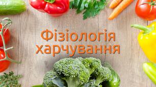 Фізіологія харчування (підсумкове тестування)