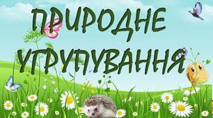 Самостійна робота. Природні угрупування: ліс, луки, прісна водойма, море.