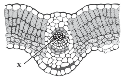 0900zsht-ec7c-438x279.png