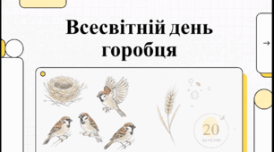 Відеоогляд "20 березня - День горобця"
