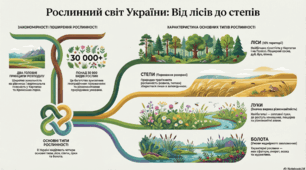 Конспект уроку. географія 8 клас НУШ. Тема "Рослинний світ України: різноманітність, закономірності поширення та рослинні угруповання".