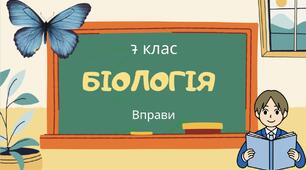 Пазл «Безхвості амфібії»