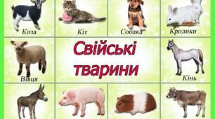 Презентація до уроку Я досліджую світ "Свійські тварини"