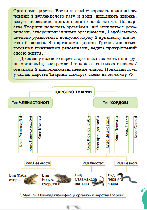 0900zvri-3c62-493x705.png