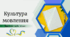 Культура мовлення