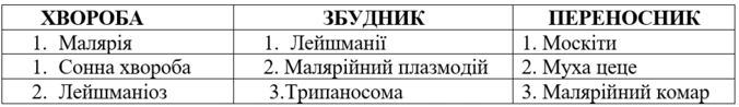 0900zx5b-2a66-676x98.png