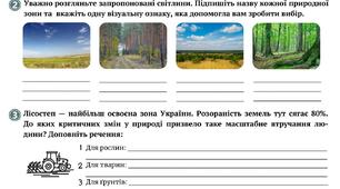 Робочий аркуш "У чому своєрідність лісостепу" (Зона лісостепу)