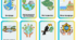 Флеш - картки "Біосфера. Природні комплекси Землі"