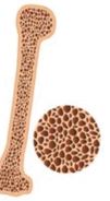 0900zypu-891d-101x184.png