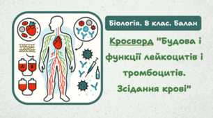 Кросворд  "Будова і функції лейкоцитів і тромбоцитів. Зсідання крові"