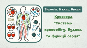 Кросворд "Система кровообігу. Будова та функції серця"