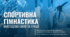 Спортивна гімнастика