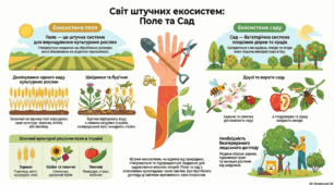 Як влаштовані штучні екосистеми поля і саду